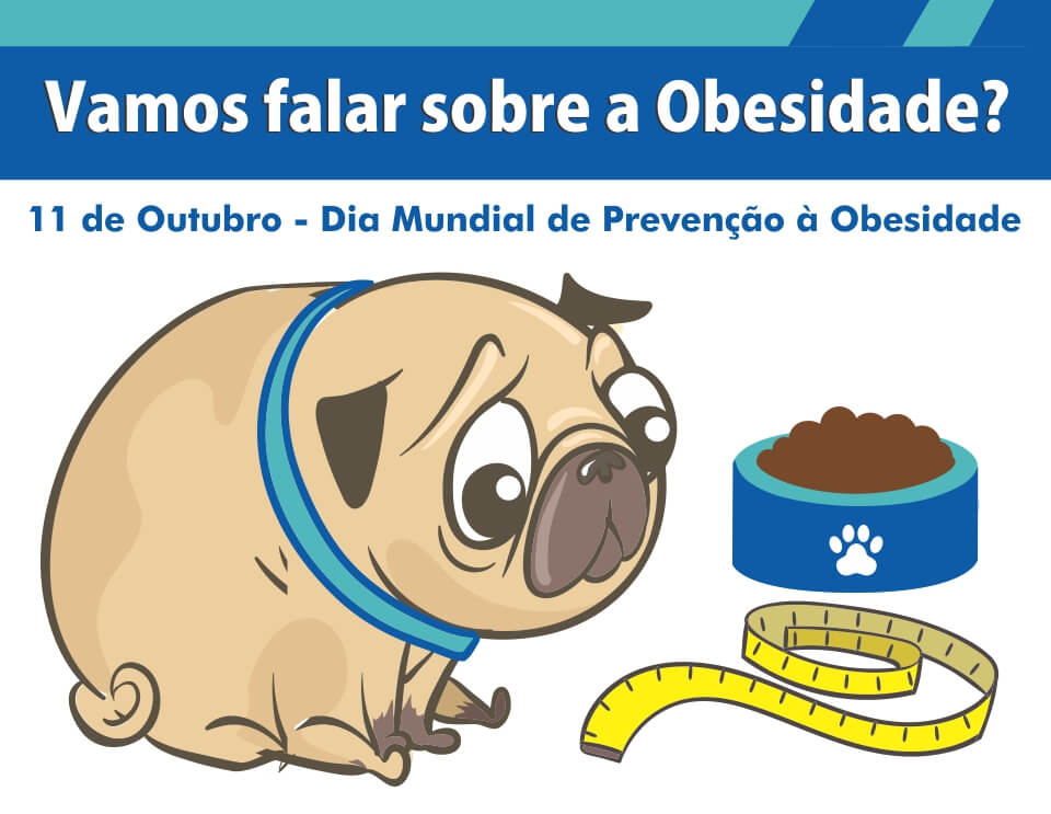 endocrinologia veterinária - artigo sobre obesidade em cães e gatos