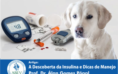 A Bela História da Descoberta da Insulina e Algumas Dicas de Manejo