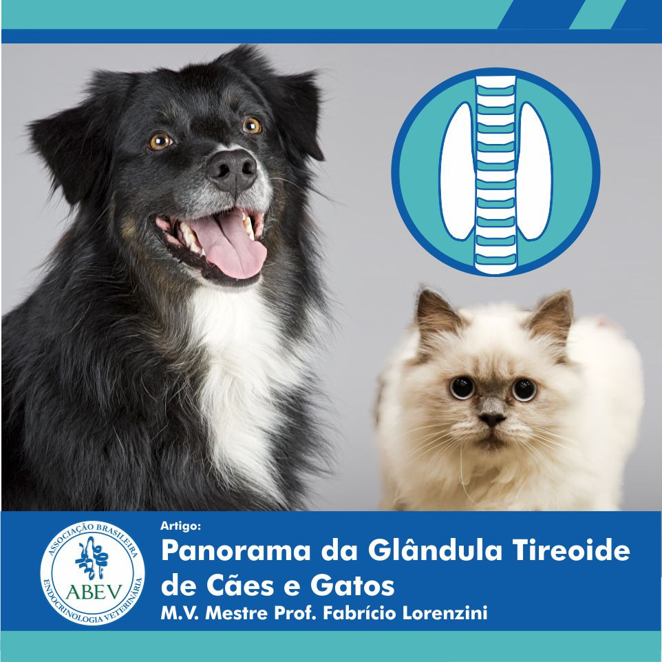 Dia Internacional da Tireoide -Panorama da Glândula Tireoide de Cães e Gatos - Fabrício Lorenzini