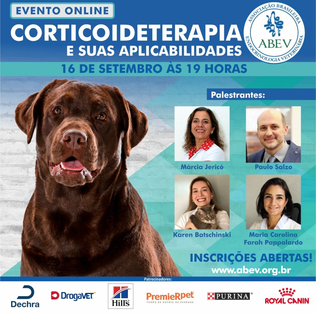 evento abev setembro 2020 corticoideterapia endocrinologia veterinaria