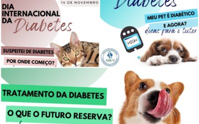 Dicas sobre diabetes mellitus em cães e gatos para vets e tutores