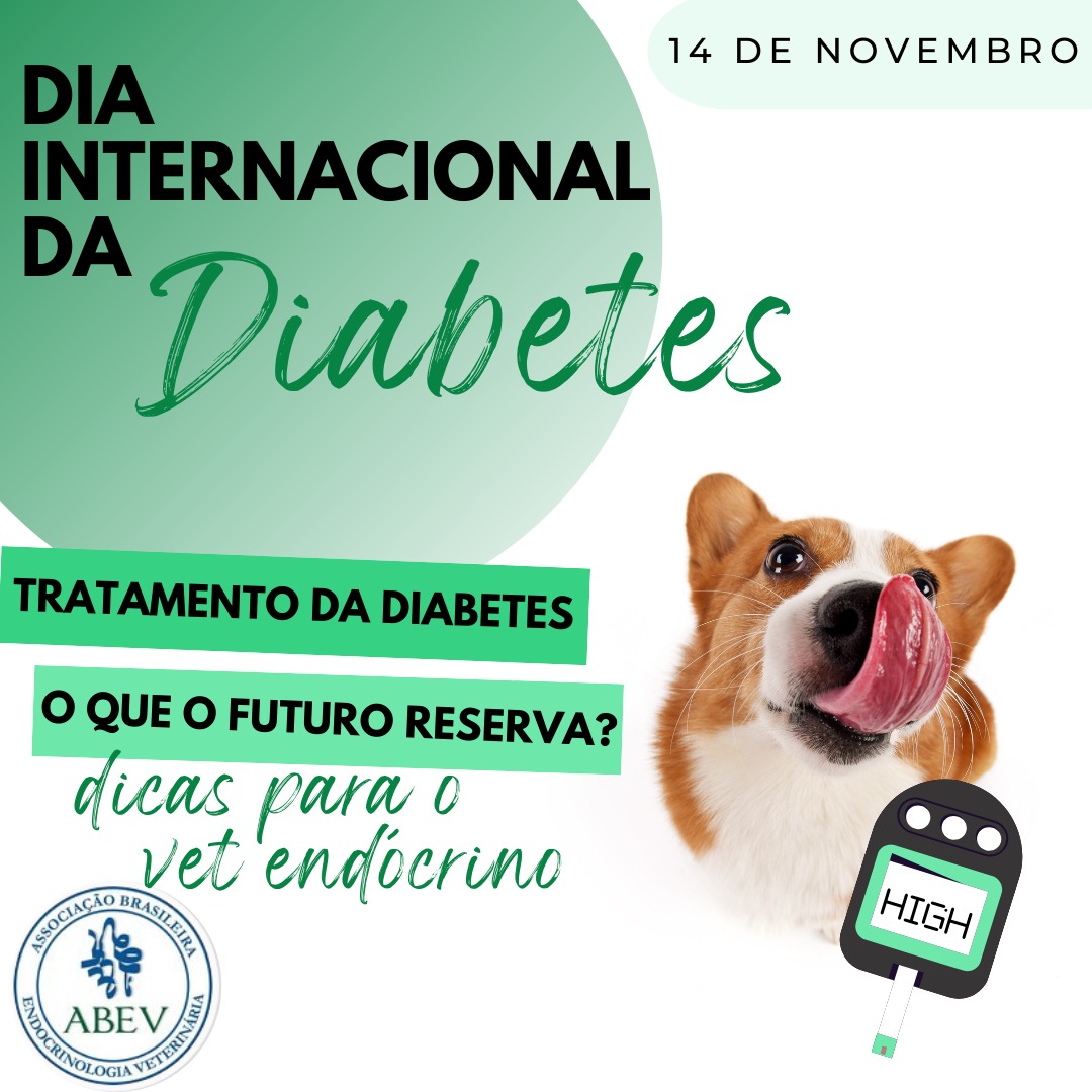 o futuro do tratamento do diabetes em cães e gatos