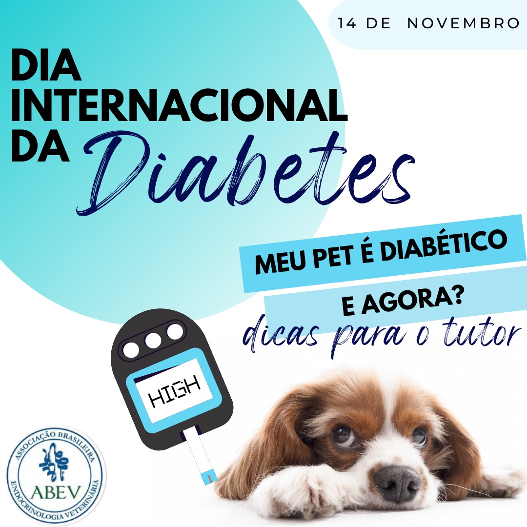 dicas sobre diabetes  para tutores de cães e gatos