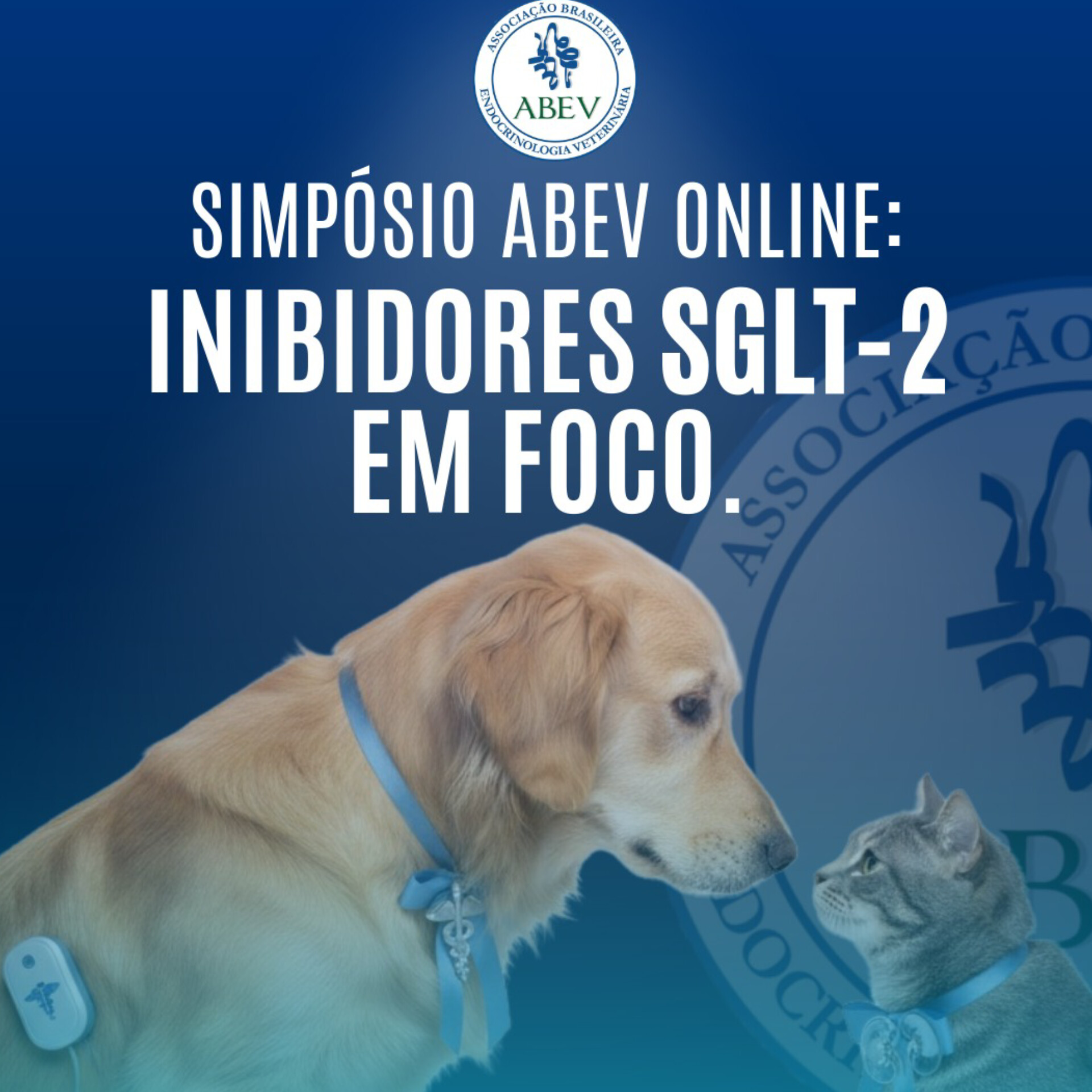 5° Encontro Científico com Participação Ativa dos Sócios da ABEV: Meus Casos Clínicos Complicados